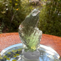 Moldavite 1.7 grams #2165-Moldavite Life