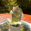 Moldavite 1.7 grams #2180-Moldavite Life