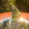 Moldavite 1.7 grams #2180-Moldavite Life