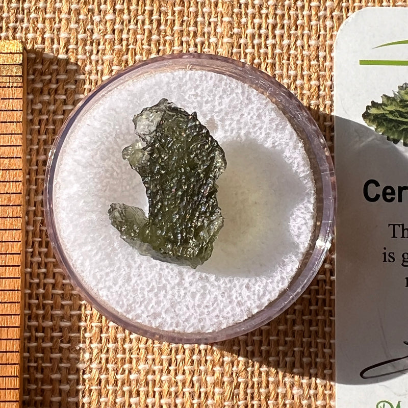 Moldavite 1.7 grams #2180-Moldavite Life