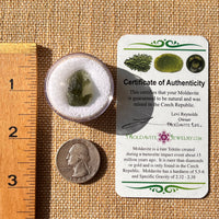 Moldavite 1.7 grams #2180-Moldavite Life