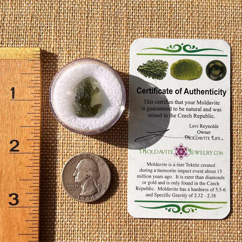 Moldavite 1.7 grams #2180-Moldavite Life
