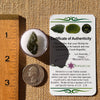Moldavite 1.7 grams #2278-Moldavite Life