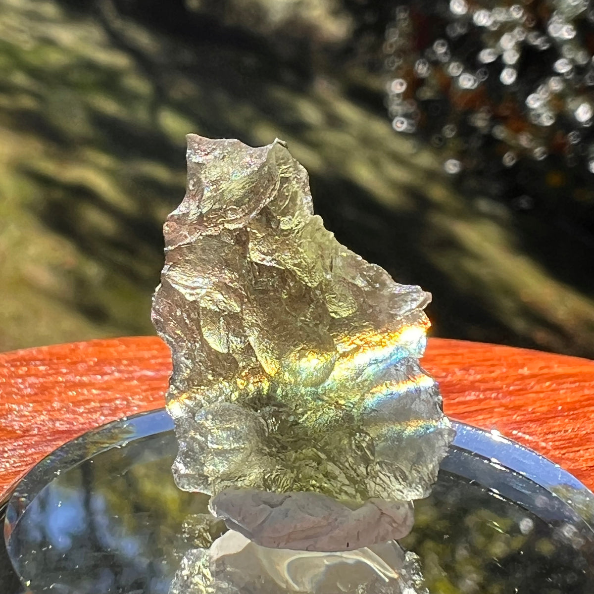 Moldavite 1.7 grams #2341-Moldavite Life