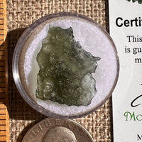 Moldavite 1.7 grams #2341-Moldavite Life