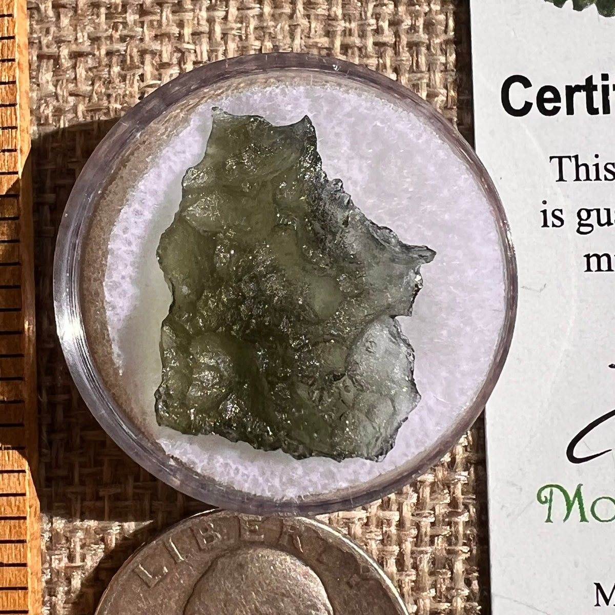 Moldavite 1.7 grams #2341-Moldavite Life