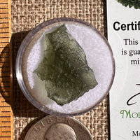 Moldavite 1.7 grams #2341-Moldavite Life