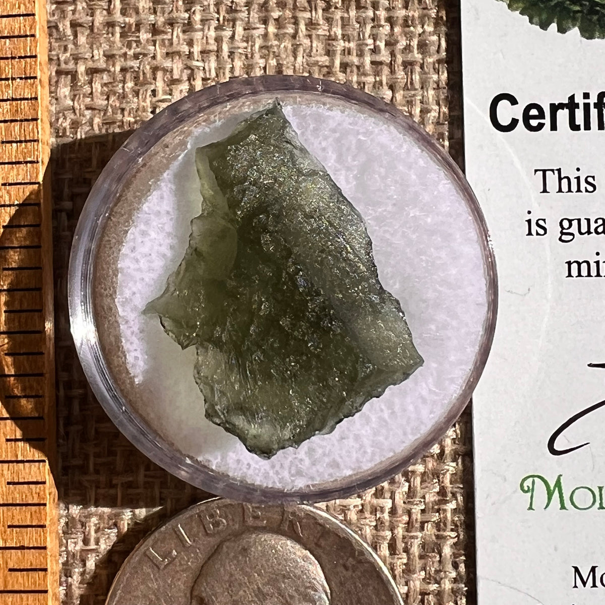 Moldavite 1.7 grams #2341-Moldavite Life