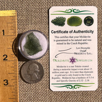 Moldavite 1.7 grams #2341-Moldavite Life