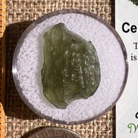 Moldavite 1.7 grams #2351-Moldavite Life