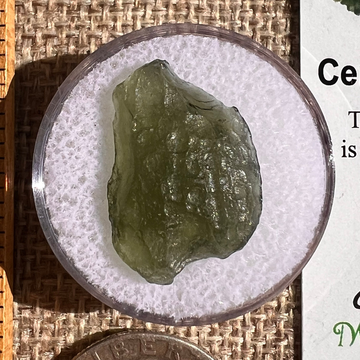 Moldavite 1.7 grams #2351-Moldavite Life