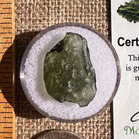 Moldavite 1.7 grams #2351-Moldavite Life