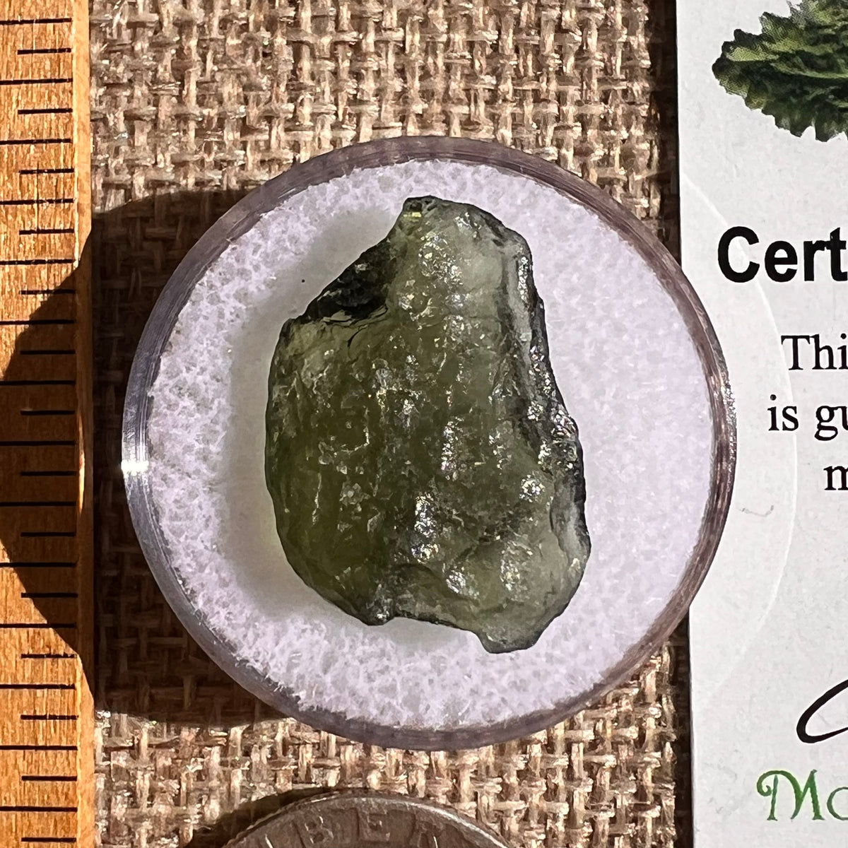 Moldavite 1.7 grams #2351-Moldavite Life