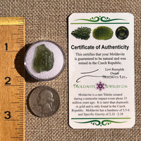 Moldavite 1.7 grams #2351-Moldavite Life