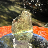 Moldavite 1.7 grams #2351-Moldavite Life
