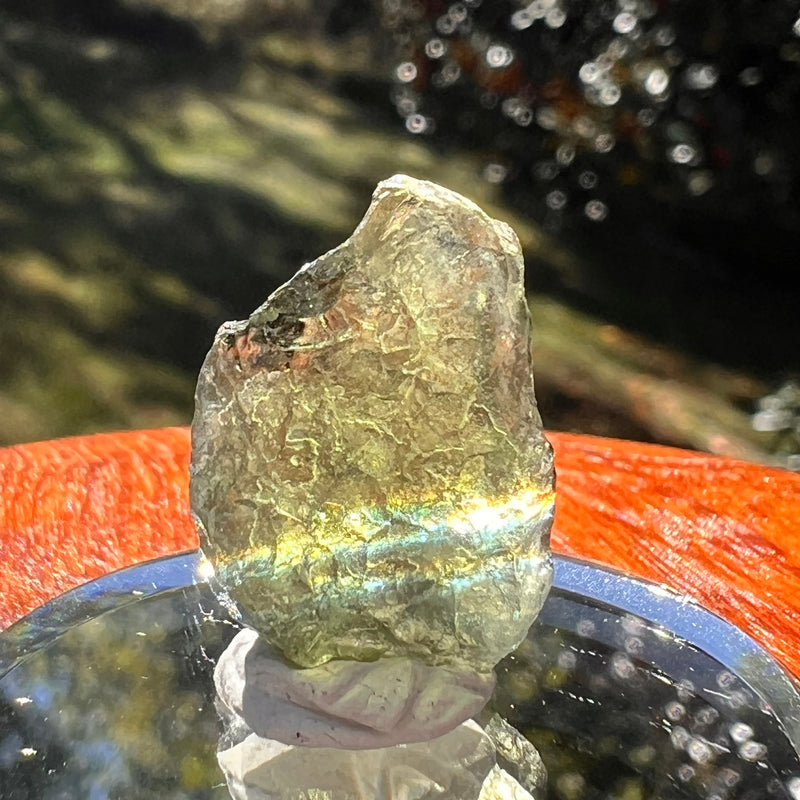 Moldavite 1.7 grams #2351-Moldavite Life
