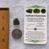 Moldavite 1.8 grams #1813-Moldavite Life