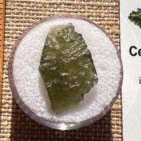 Moldavite 1.8 grams #1966-Moldavite Life