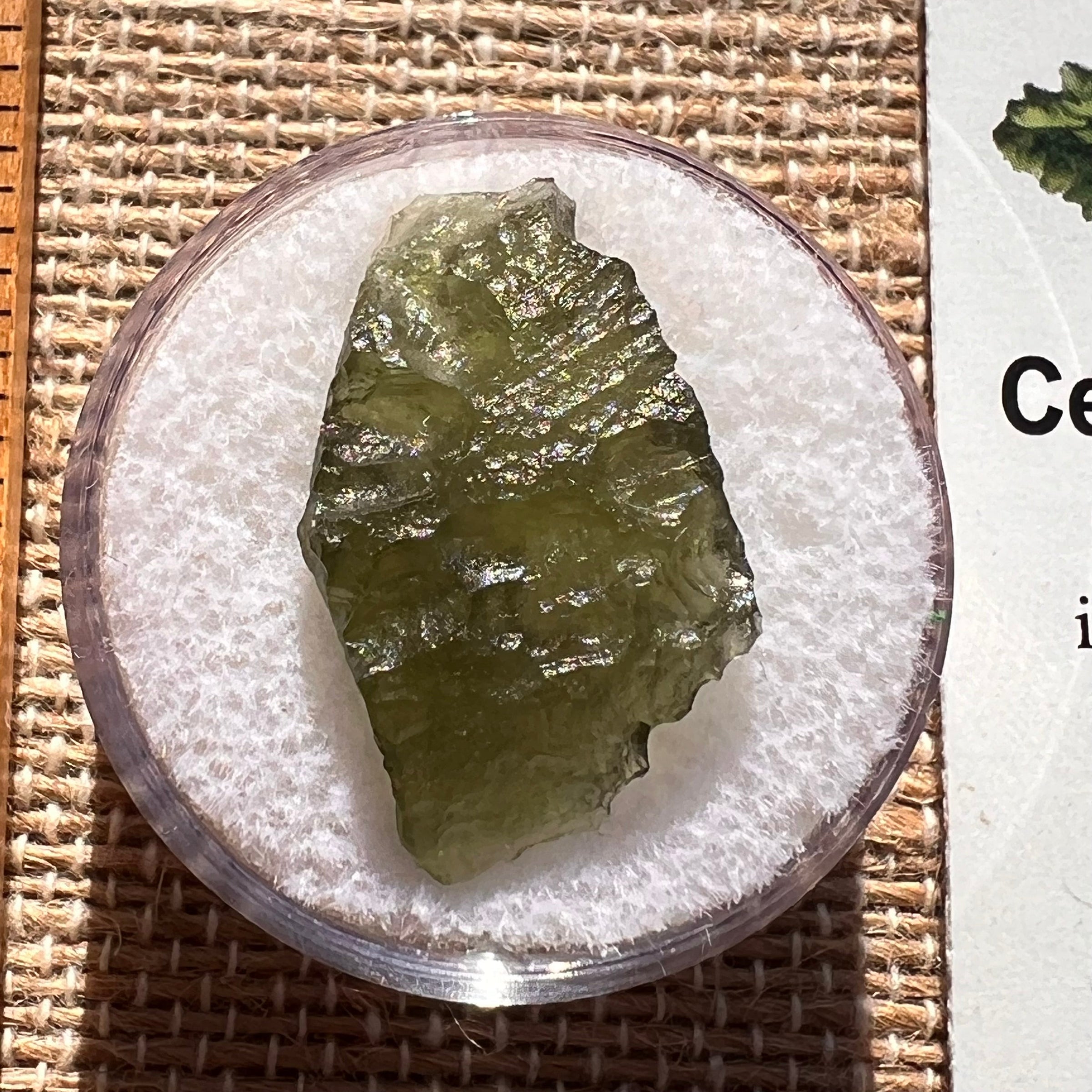 Moldavite 1.8 grams #1966-Moldavite Life