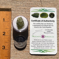 Moldavite 1.8 grams #1966-Moldavite Life
