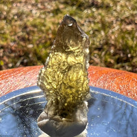 Moldavite 1.8 grams #1979-Moldavite Life