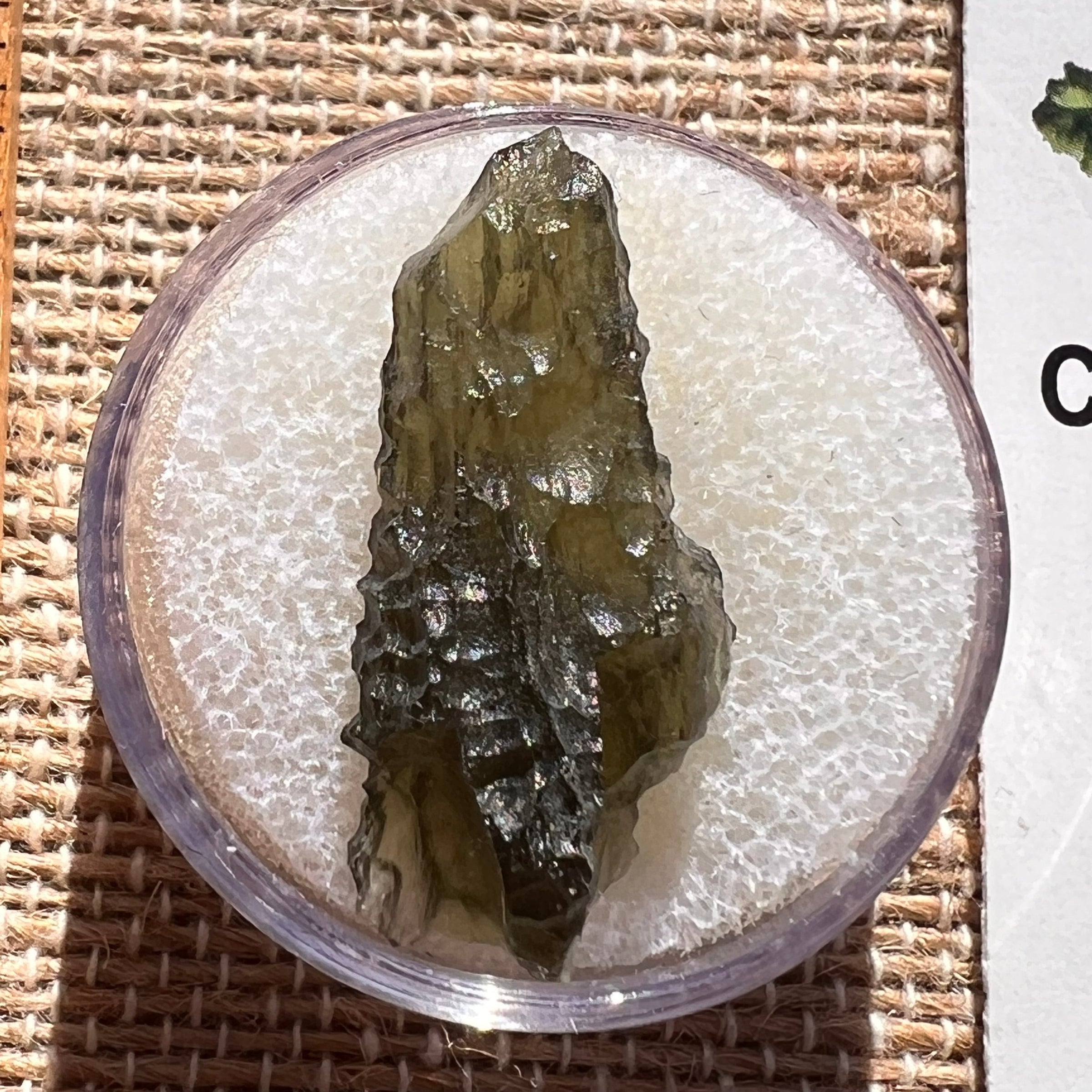 Moldavite 1.8 grams #1979-Moldavite Life