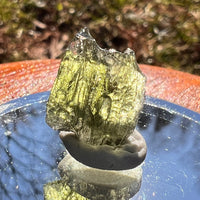 Moldavite 1.8 grams #1990-Moldavite Life
