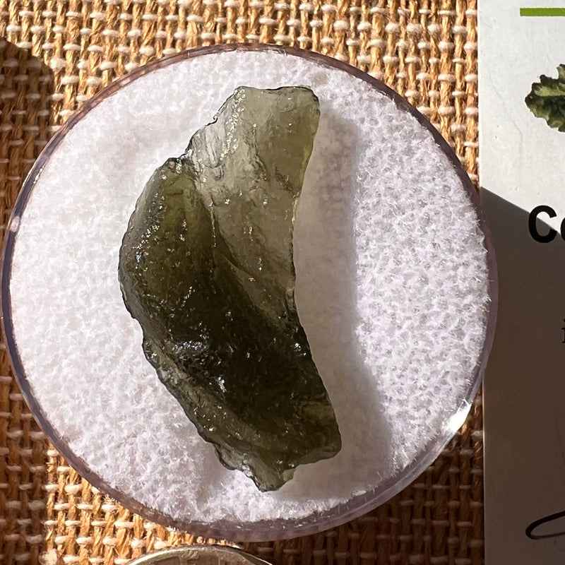 Moldavite 1.8 grams #2146-Moldavite Life