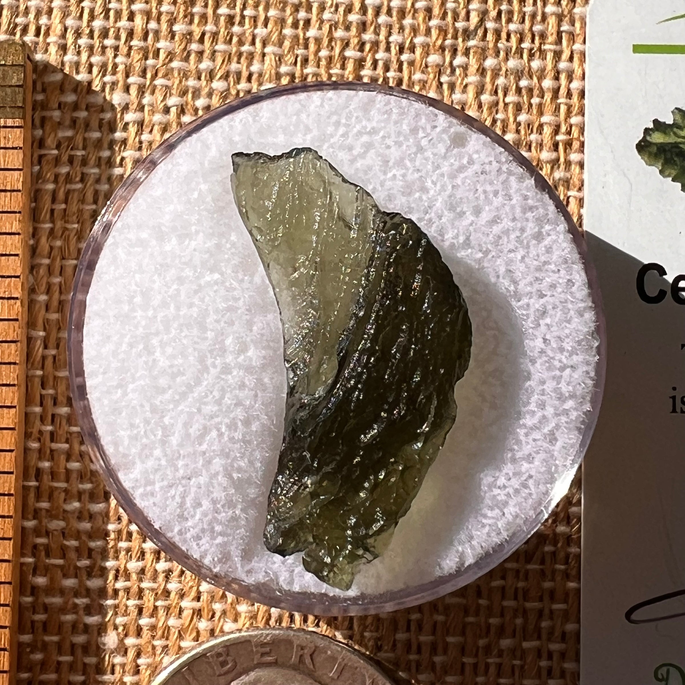 Moldavite 1.8 grams #2146-Moldavite Life