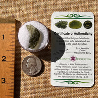 Moldavite 1.8 grams #2146-Moldavite Life