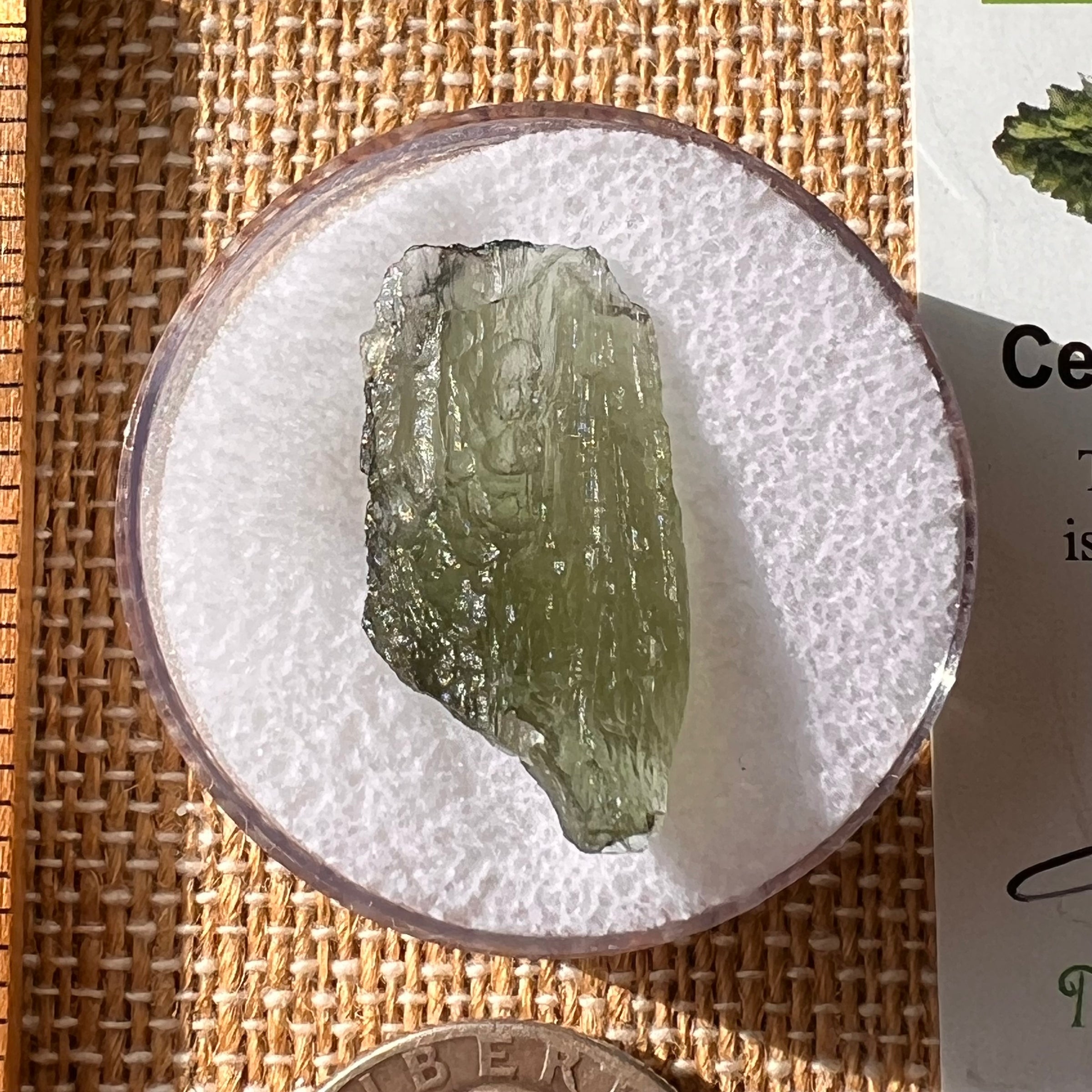 Moldavite 1.8 grams #2175-Moldavite Life