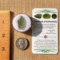 Moldavite 1.8 grams #2175-Moldavite Life