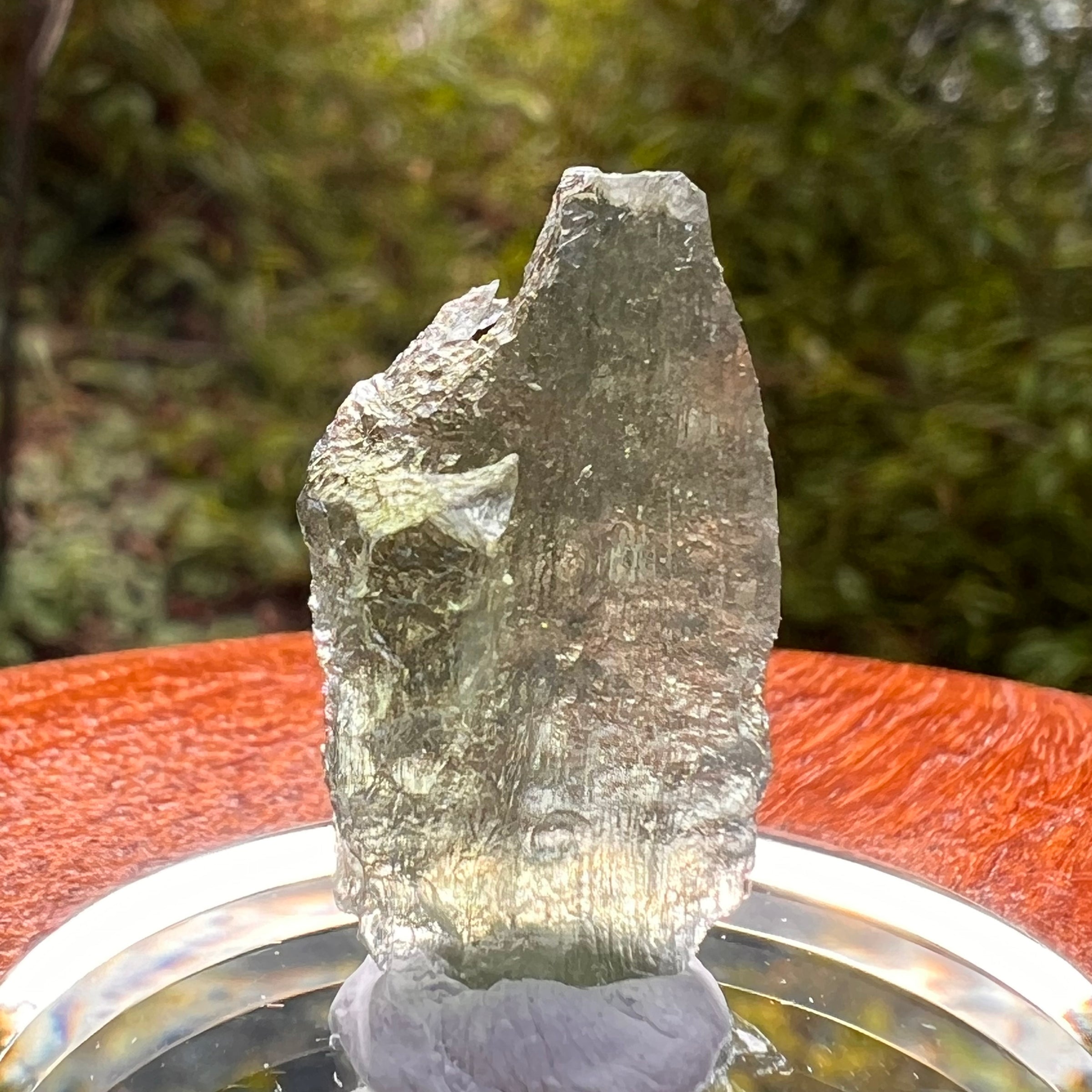 Moldavite 1.8 grams #2175-Moldavite Life