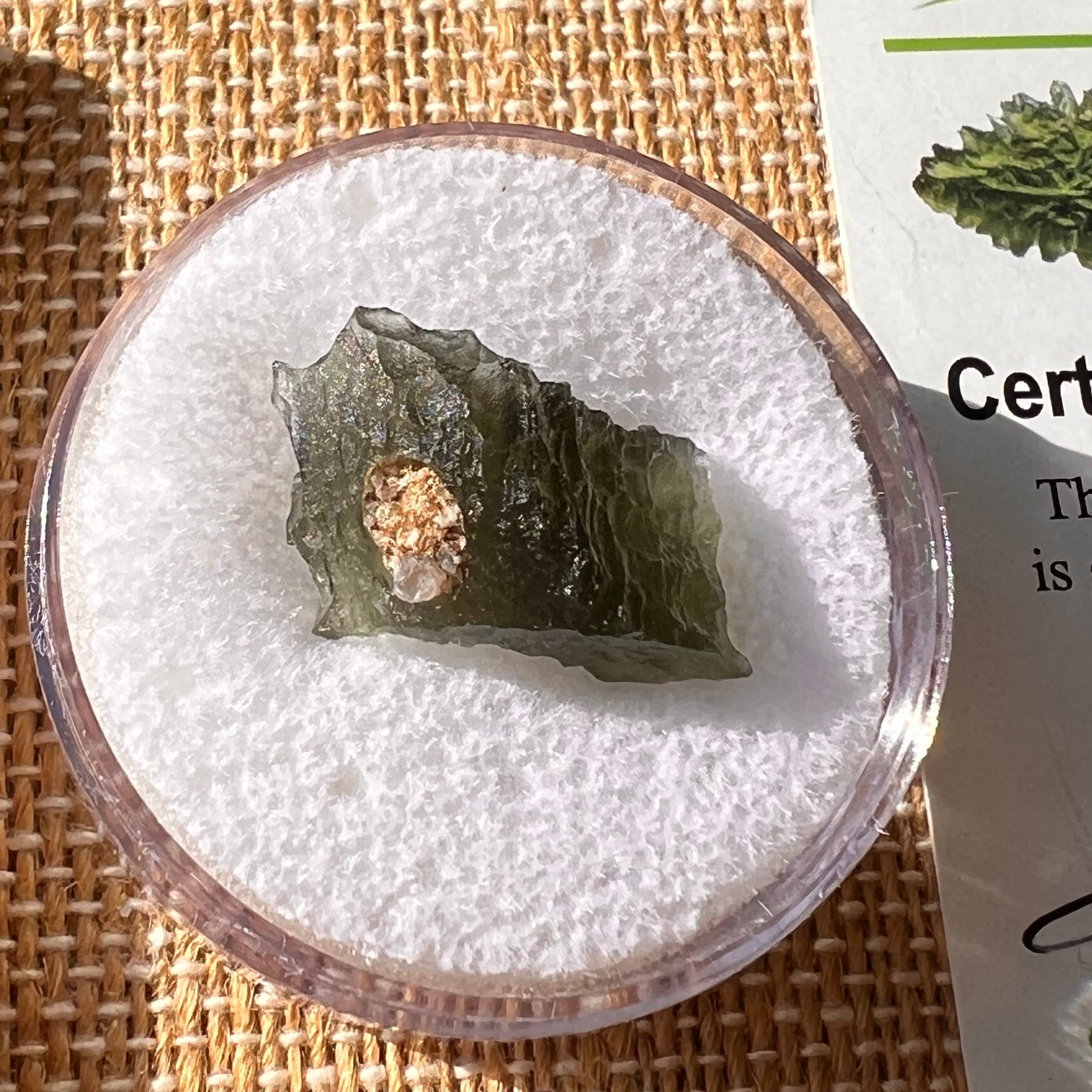 Moldavite 1.8 grams #2179-Moldavite Life