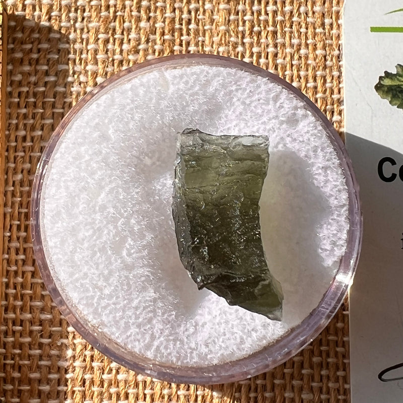 Moldavite 1.8 grams #2179-Moldavite Life