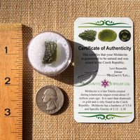 Moldavite 1.8 grams #2179-Moldavite Life