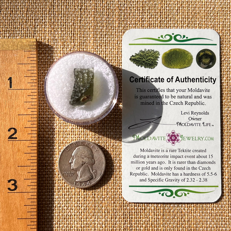 Moldavite 1.8 grams #2179-Moldavite Life