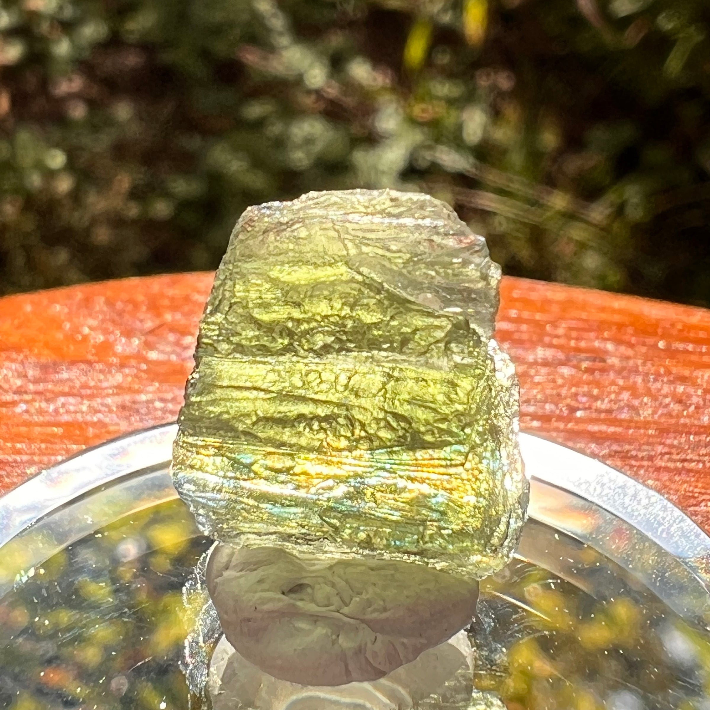 Moldavite 1.8 grams #2187-Moldavite Life