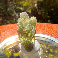 Moldavite 1.8 grams #2187-Moldavite Life