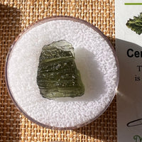 Moldavite 1.8 grams #2187-Moldavite Life