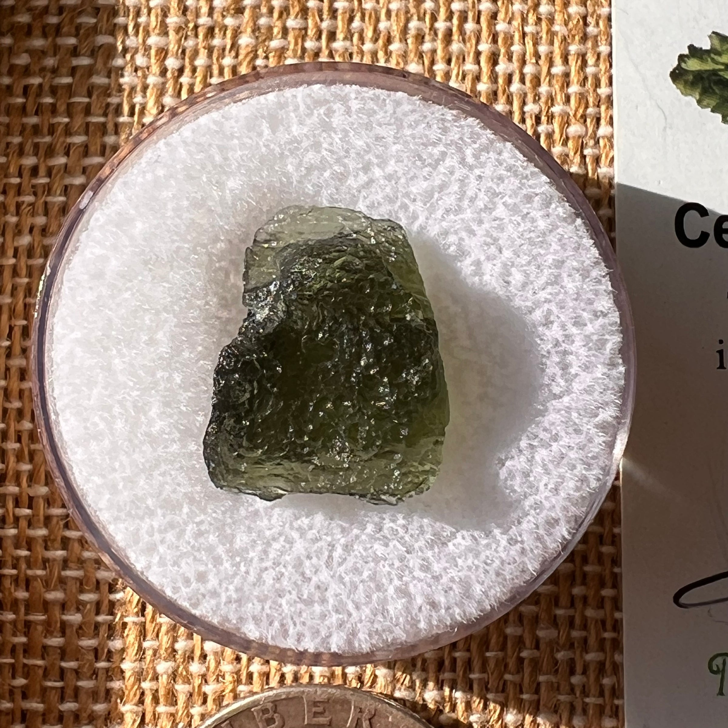 Moldavite 1.8 grams #2187-Moldavite Life