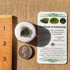 Moldavite 1.8 grams #2187-Moldavite Life