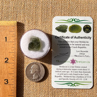 Moldavite 1.8 grams #2187-Moldavite Life