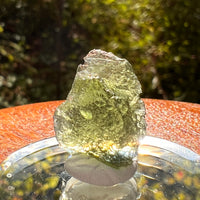 Moldavite 1.8 grams #2187-Moldavite Life