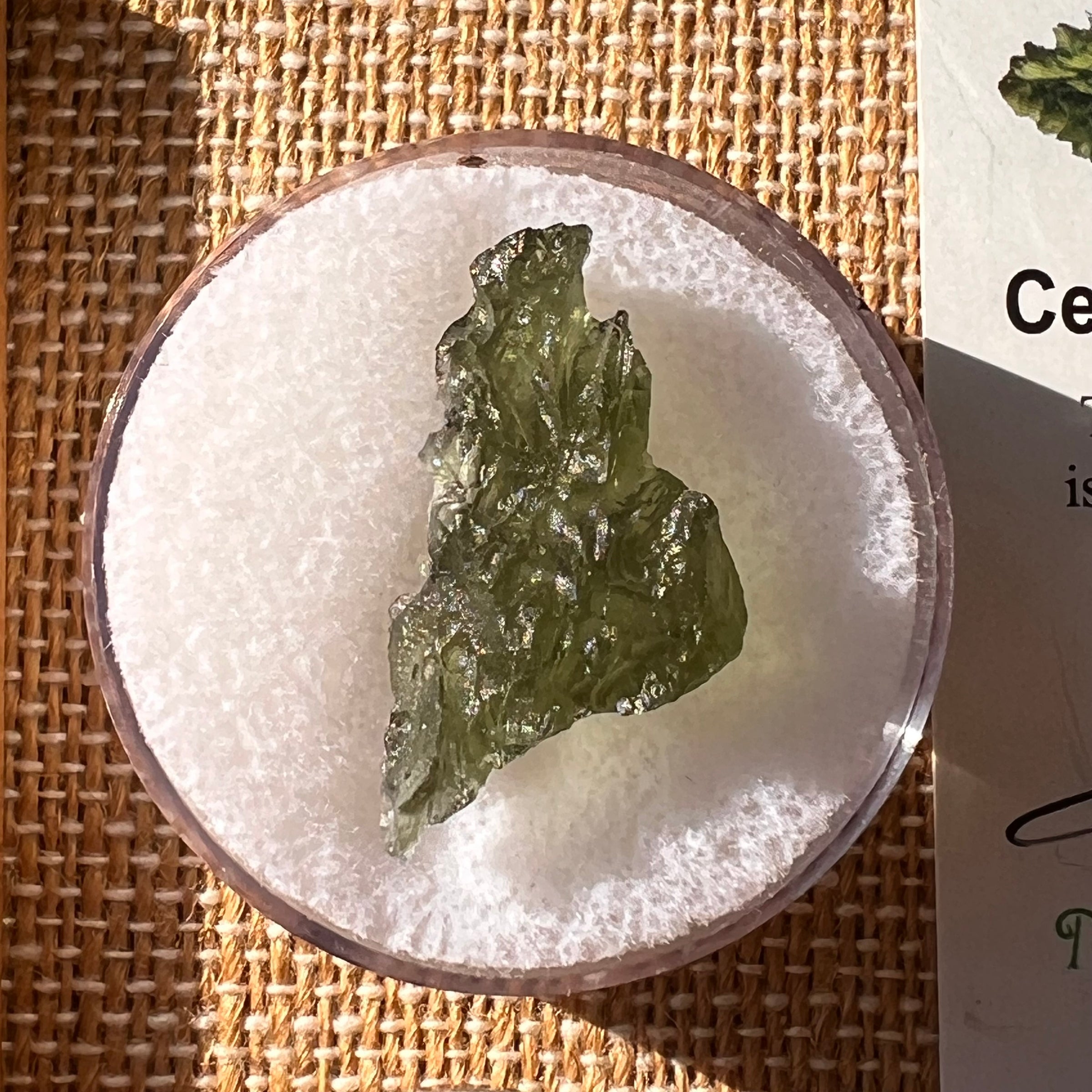 Moldavite 1.8 grams #2201-Moldavite Life