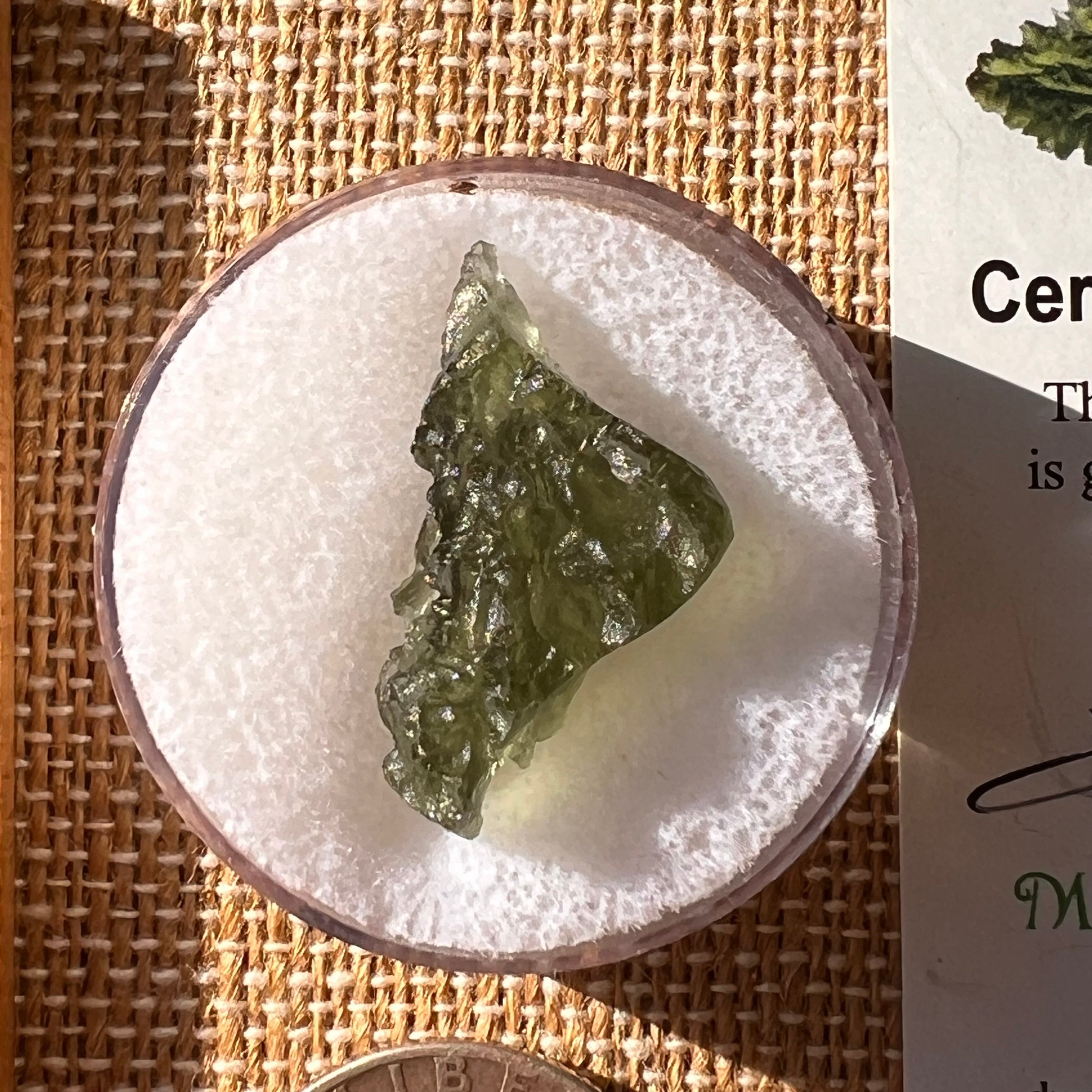 Moldavite 1.8 grams #2201-Moldavite Life