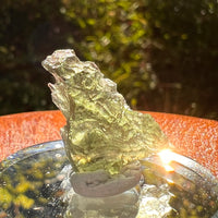 Moldavite 1.8 grams #2201-Moldavite Life
