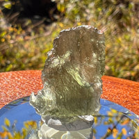 Moldavite 1.8 grams #2240-Moldavite Life
