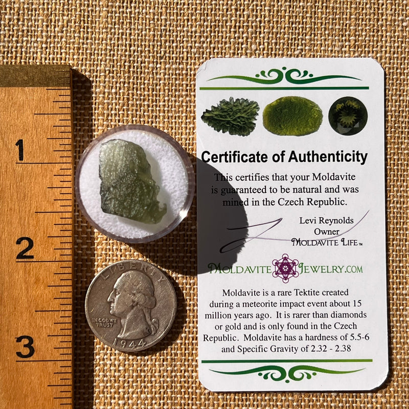 Moldavite 1.8 grams #2240-Moldavite Life