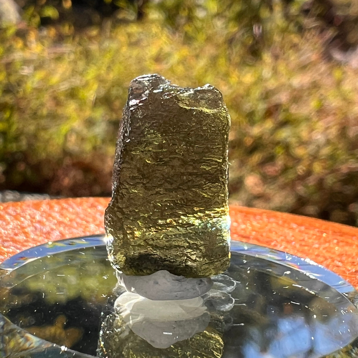 Moldavite 1.8 grams #2244-Moldavite Life